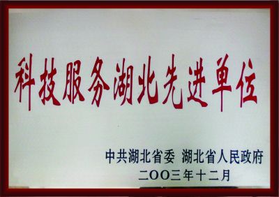 科技服務(wù)湖北先進(jìn)單位