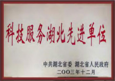 科技服務湖北先進單位