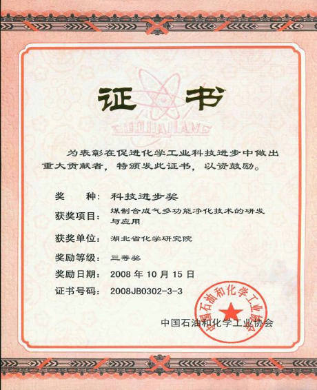 省部級 2006 科技進步三等獎